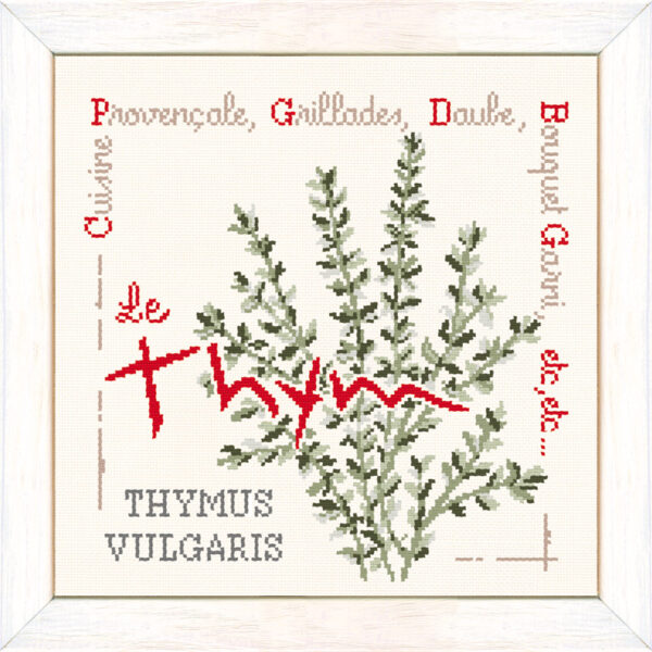 Lilipoints-le-THYM