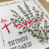 Lilipoints-le-THYM – Image 3